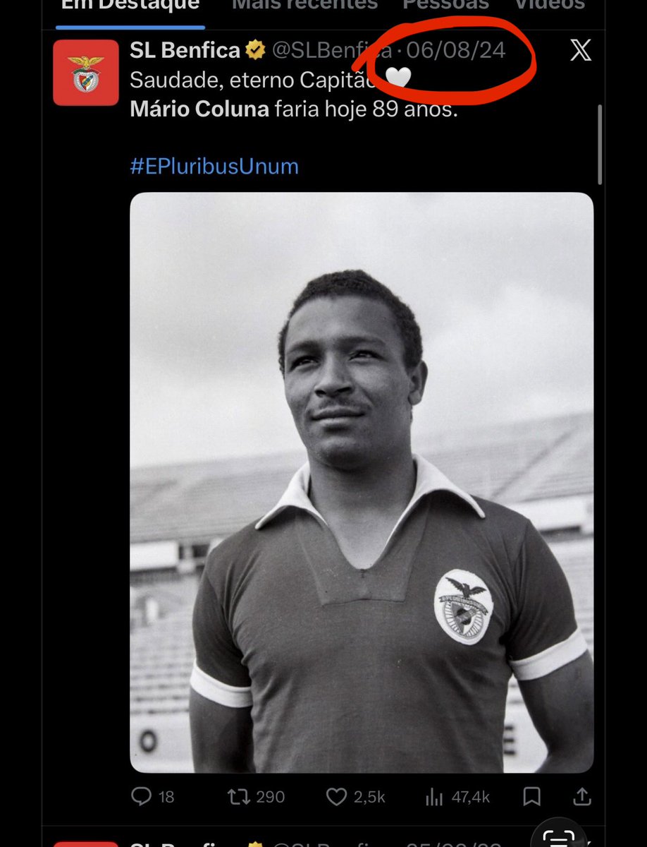 MartinHo tweet media