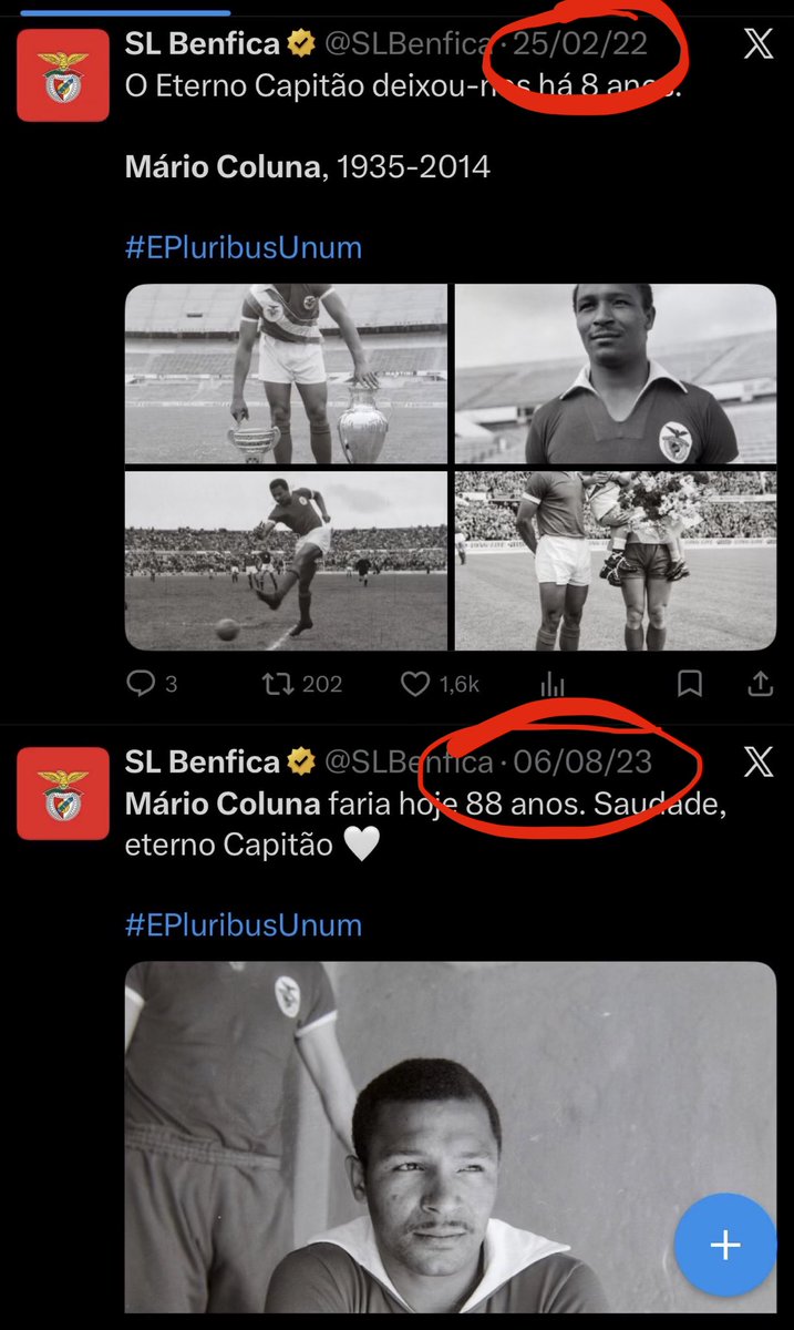 MartinHo tweet media