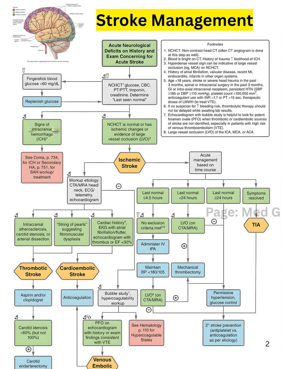 drsthanus's tweet photo. Stroke Management Algorithm.

https://t.co/WE5ZvJoVo5 https://t.co/JpxXtltPn2