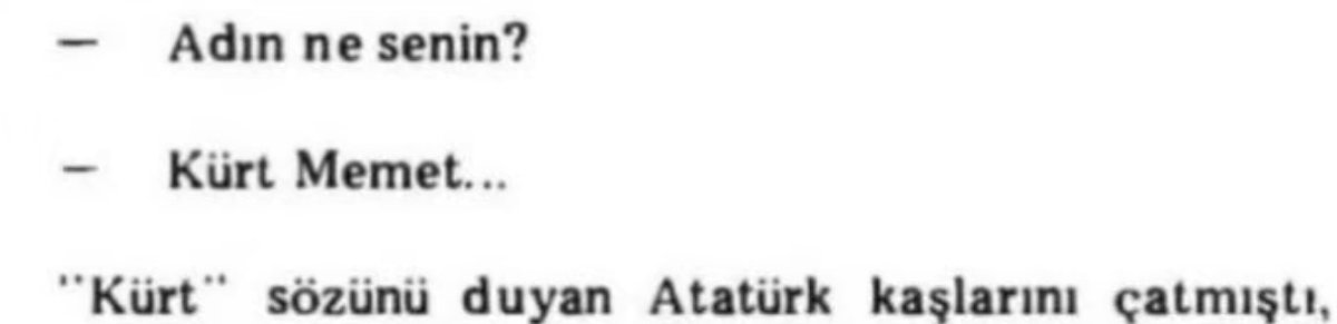 Türk 🇹🇷 tweet media