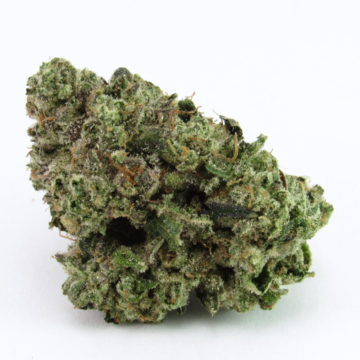 David Downs tweet media