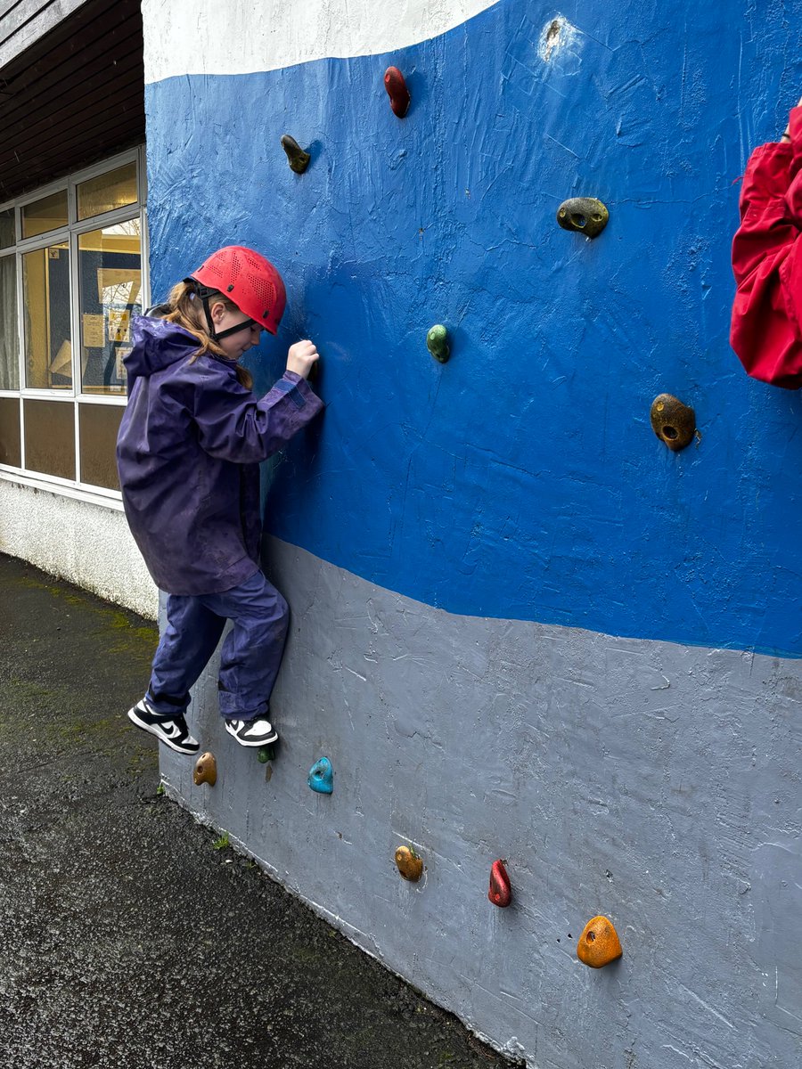 Caldercuilt Primary School & Nursery Class tweet media