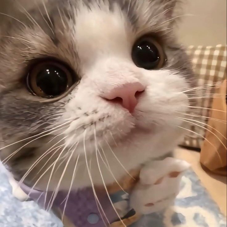 ─🦦🤏🏻꒳​˓ ꒰ ไอแอมแป๋วเองค้าบบบ ꒱

☆ જ⁀➴ #sea_ta_lay