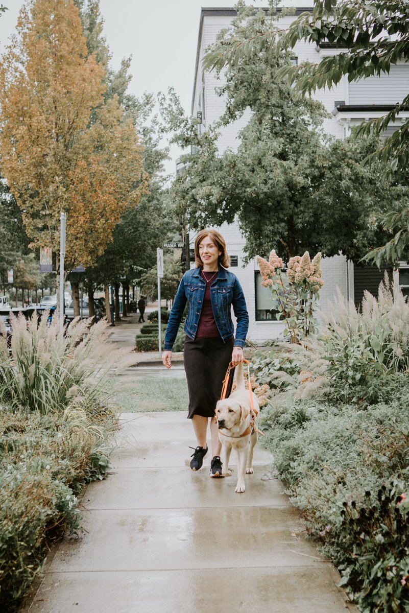 BC & Alberta Guide Dogs tweet media