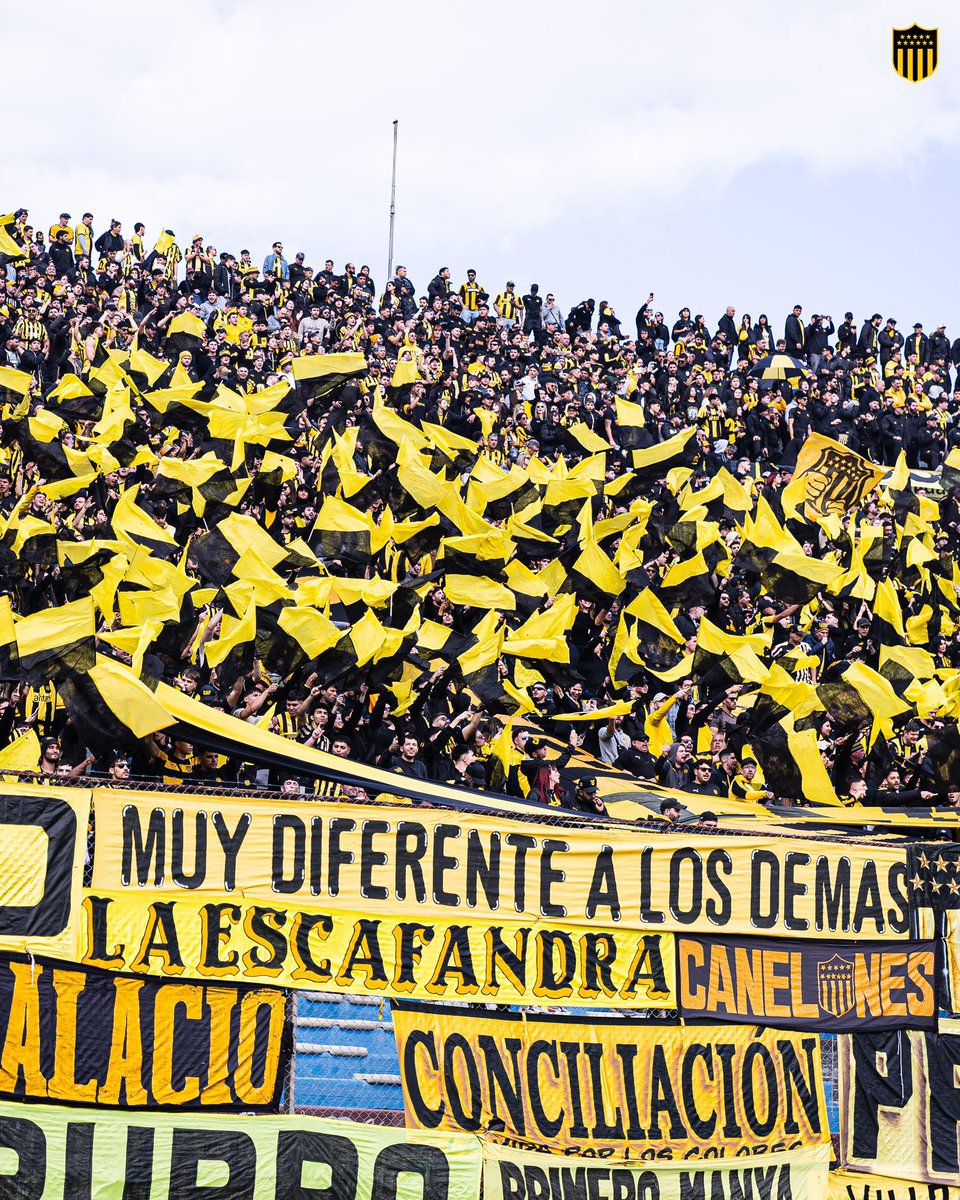 Kiko del CAP ๐๏ธ tweet media