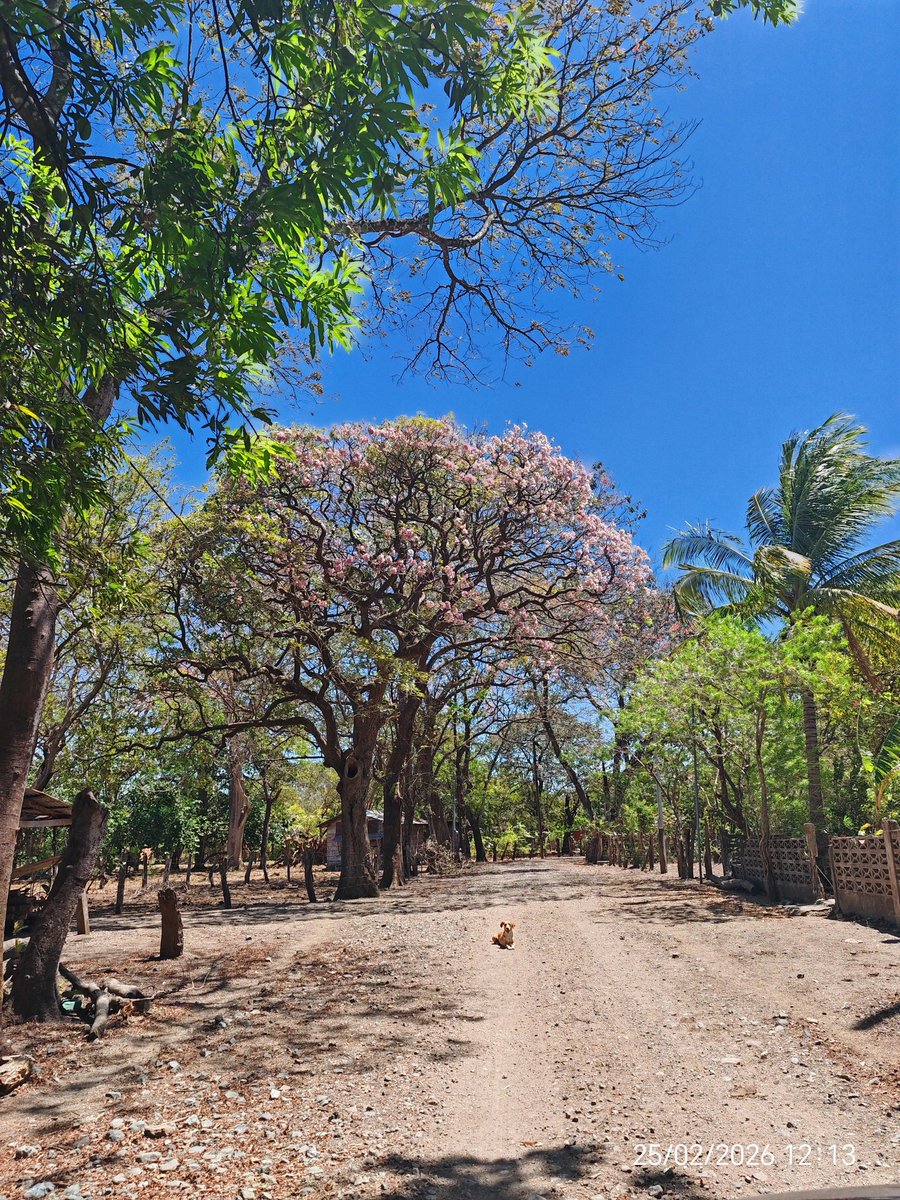 Autopistas que debo transitar en mi trabajo.