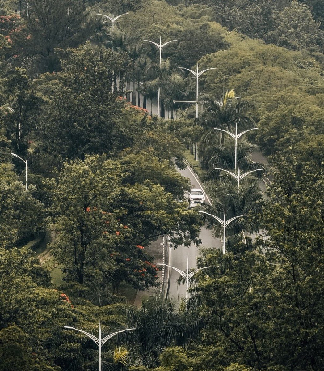 Kigali is clean and green 🇷🇼