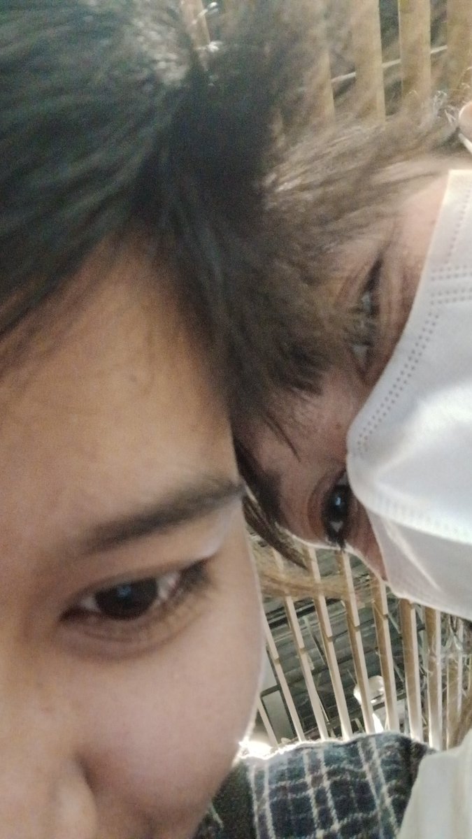 mang's🌙 tweet media