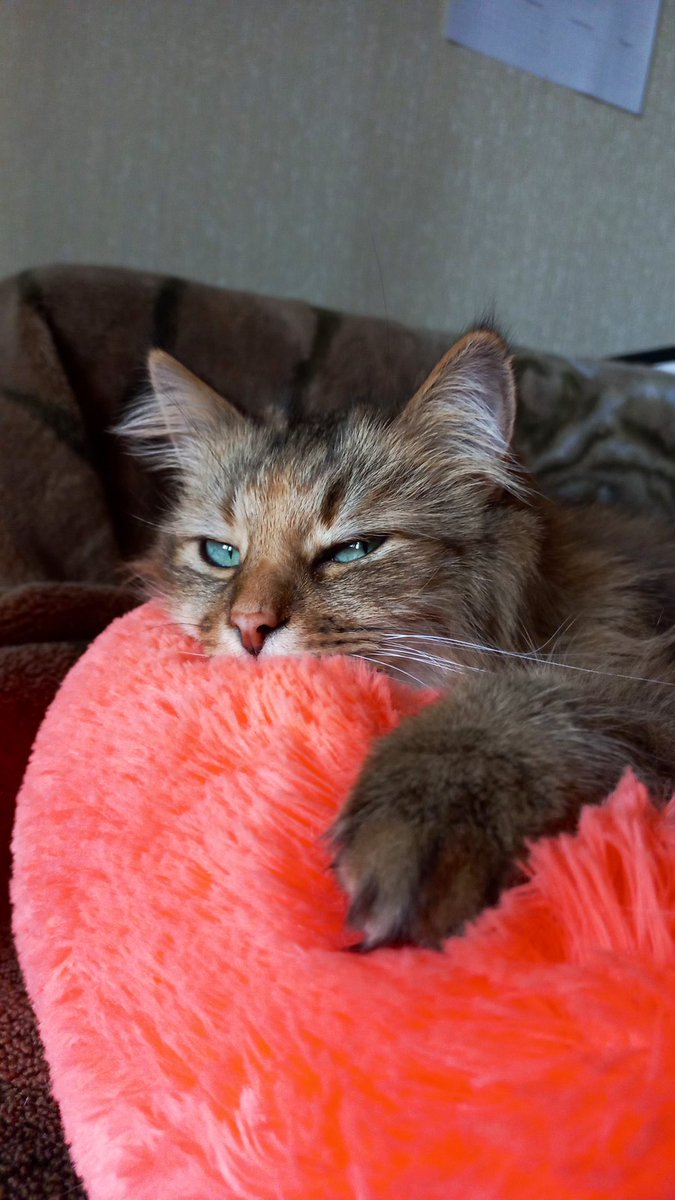 Вам щось підказати?