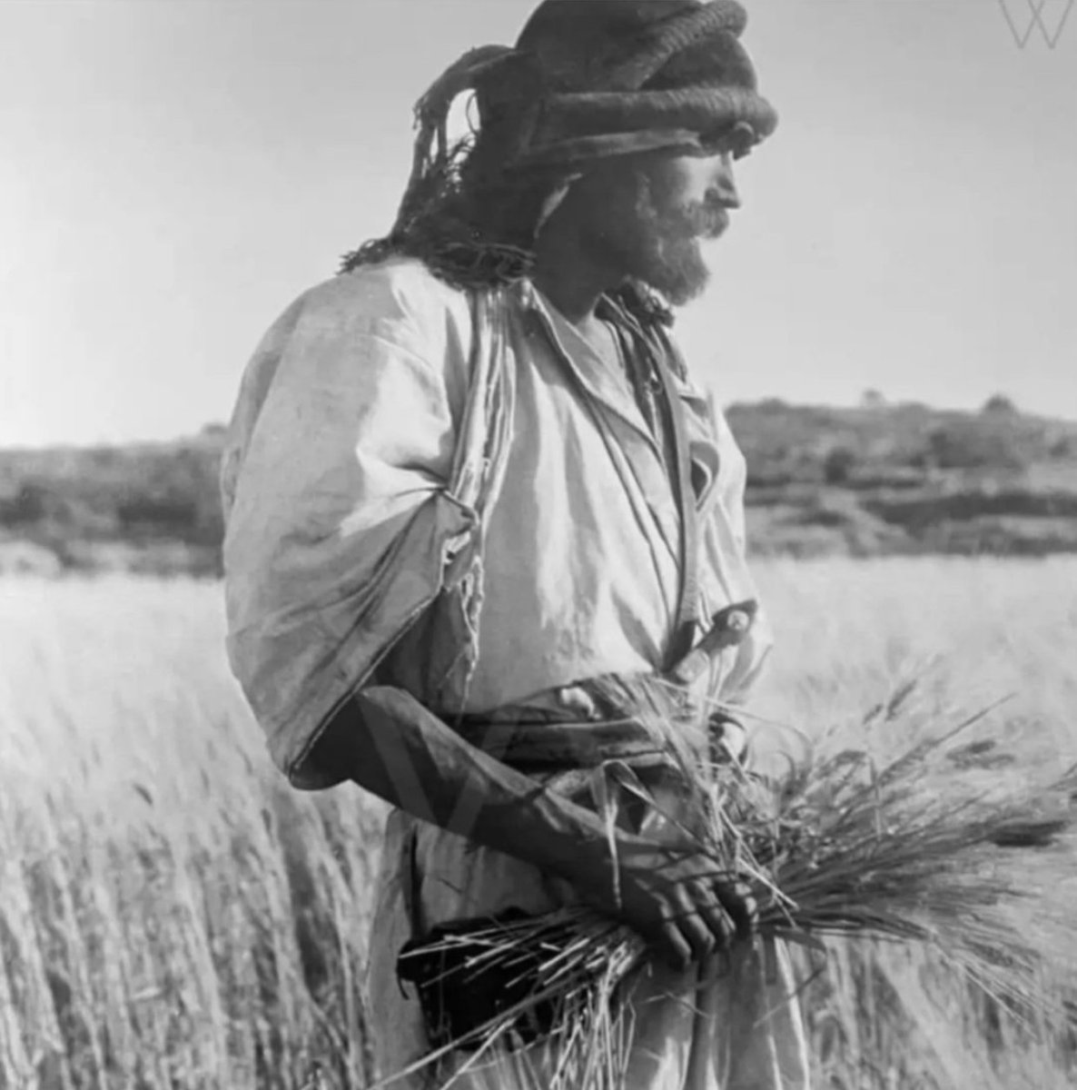 FilastinFiles's tweet photo. 🇵🇸🫒
Palestinian wheat farmer (1920) https://t.co/KlremvqMpT