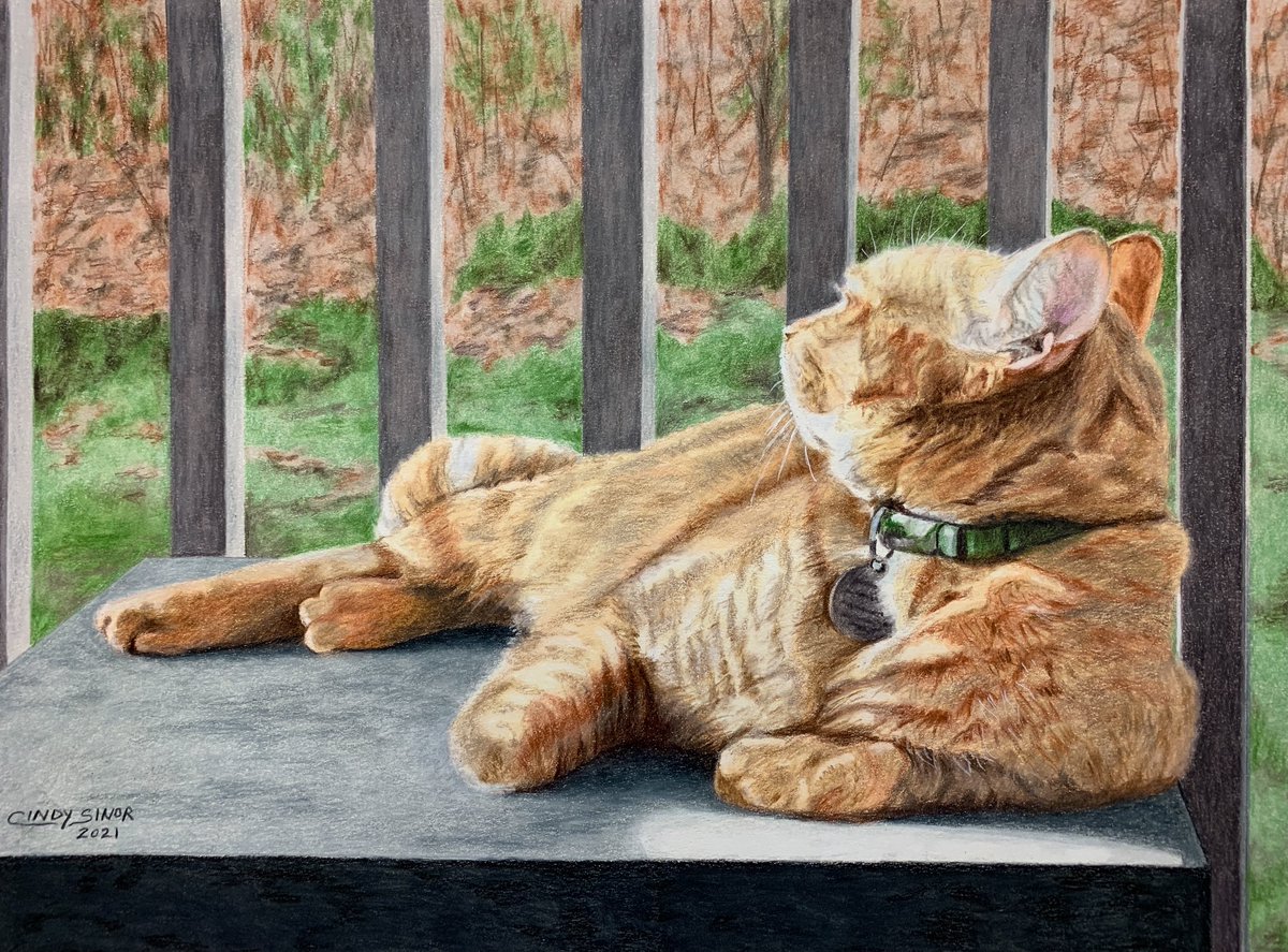 CindySinor's tweet photo. My colored pencil drawing of Johnny. I donated a pet portrait to a silent auction benefiting our local food bank. This was the portrait I drew for the winning bidder. 🐈 https://t.co/woLCNpUa6l