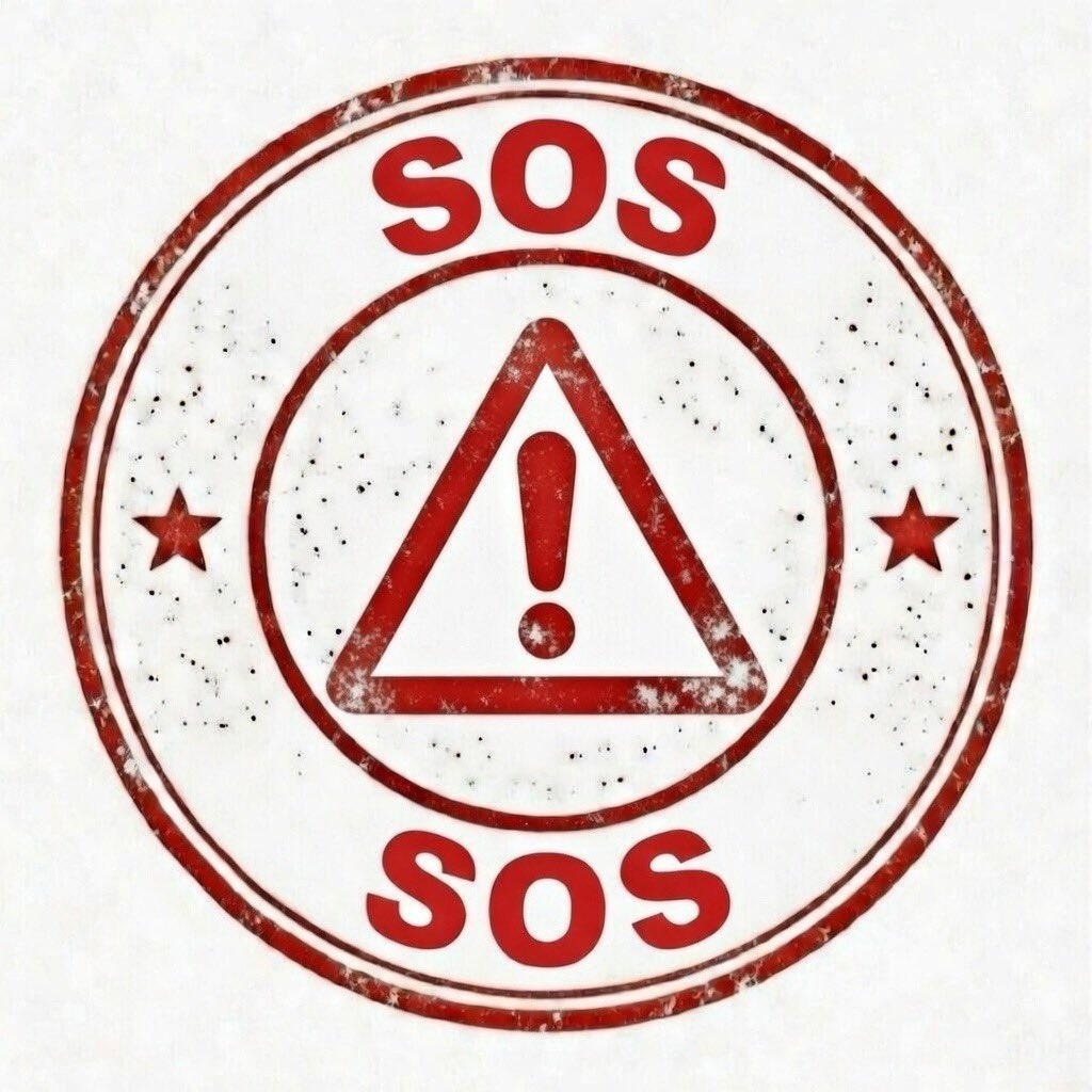 چپول شناس ۲ KAREN tweet media