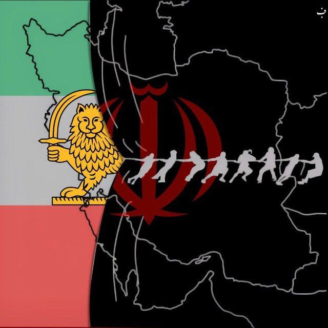 SHAH🇮🇷 tweet media
