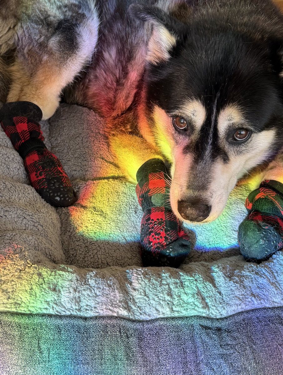 Youknowwazgood tweet media