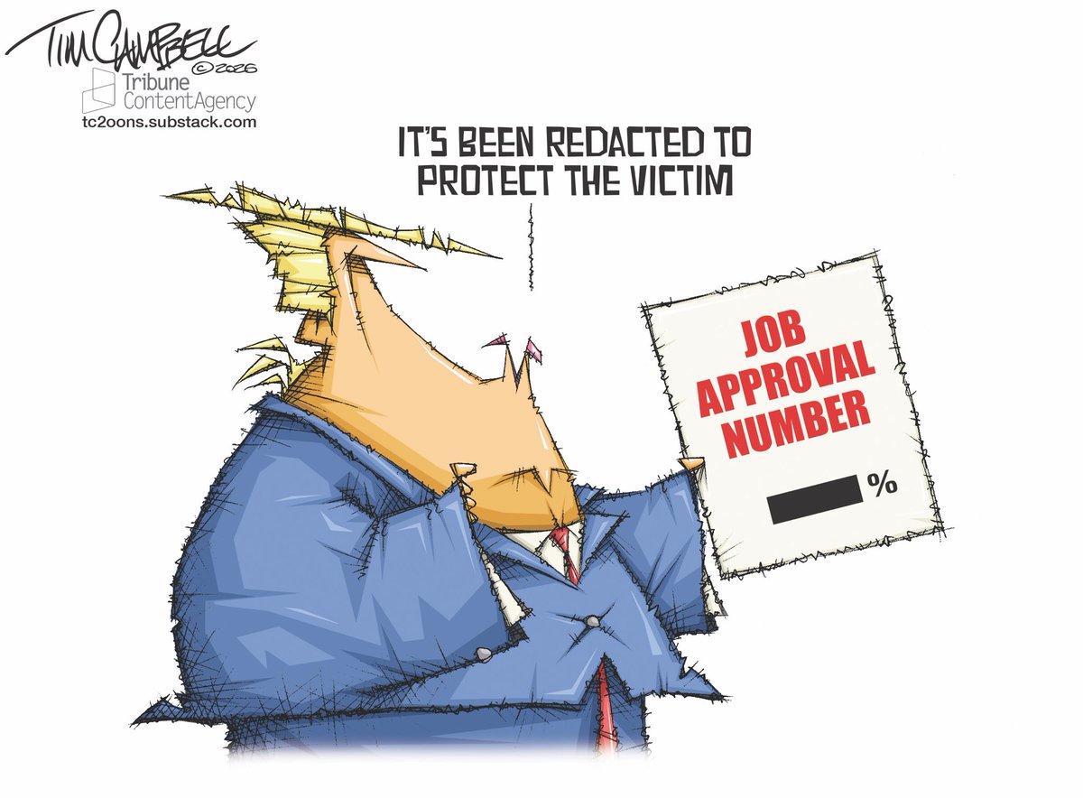 Tim Campbell tweet media