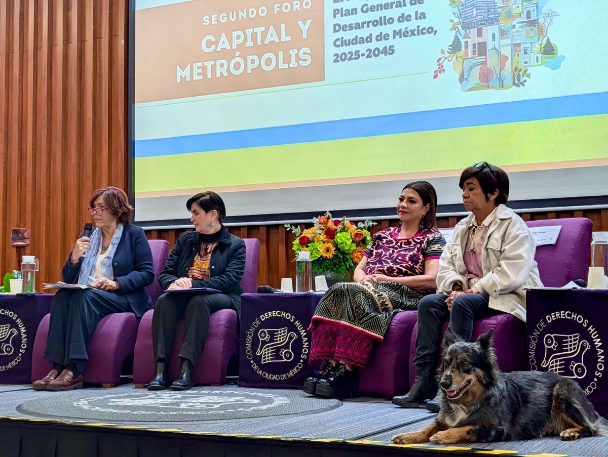 Sistema Integral de Derechos Humanos tweet media