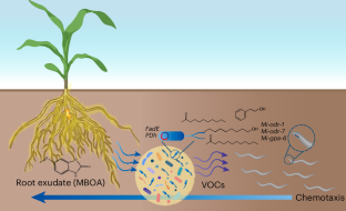 Steve Marek tweet media