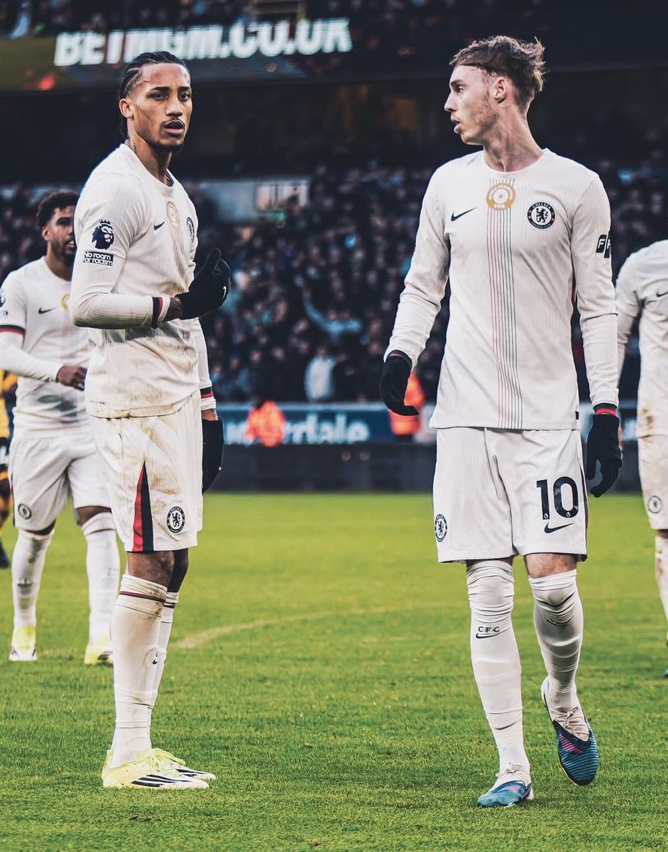 João pedro×Cole palmer