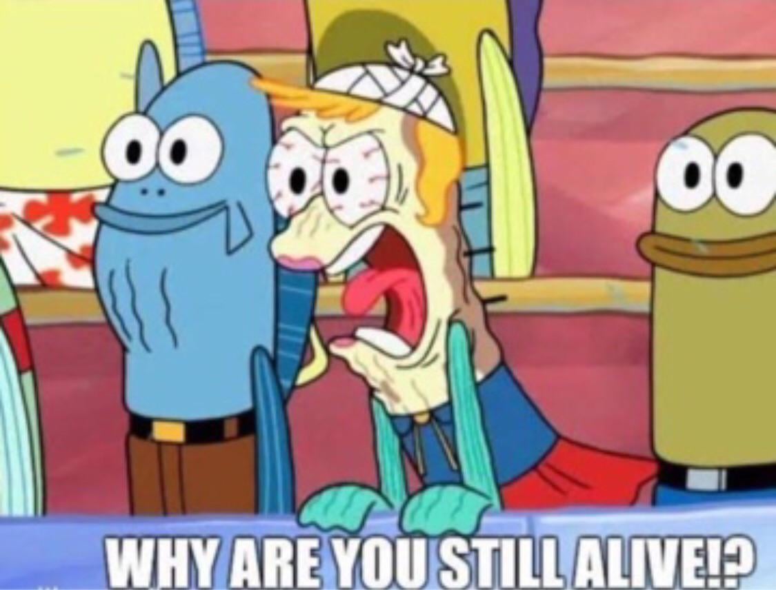 David B Zuno tweet media