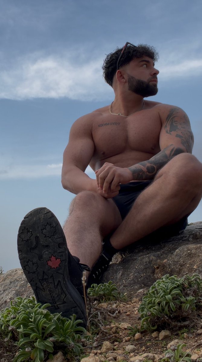 DC Alpha tweet media