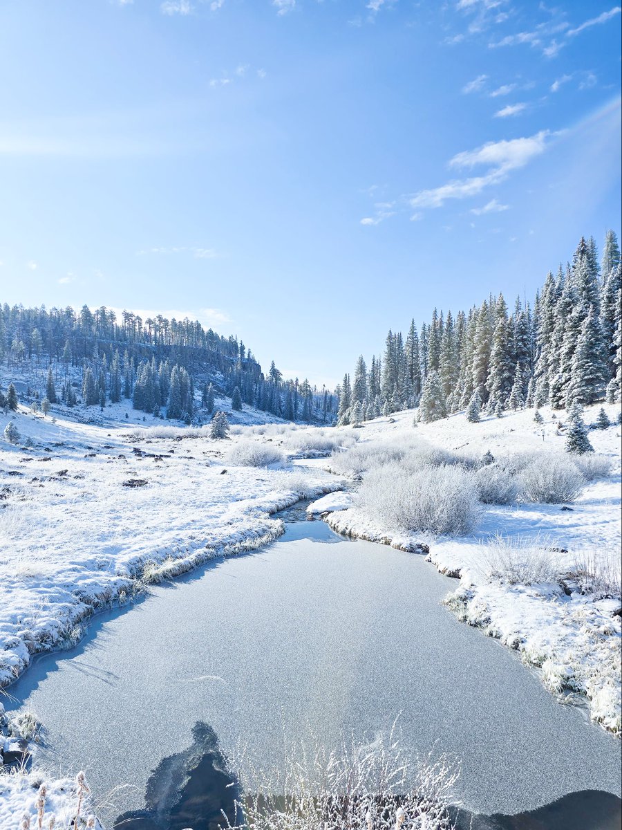 Visit Arizona tweet media