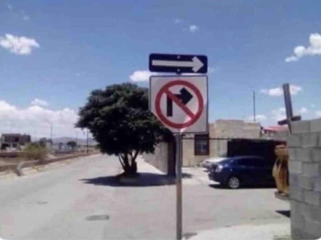 Perra Ruin tweet media