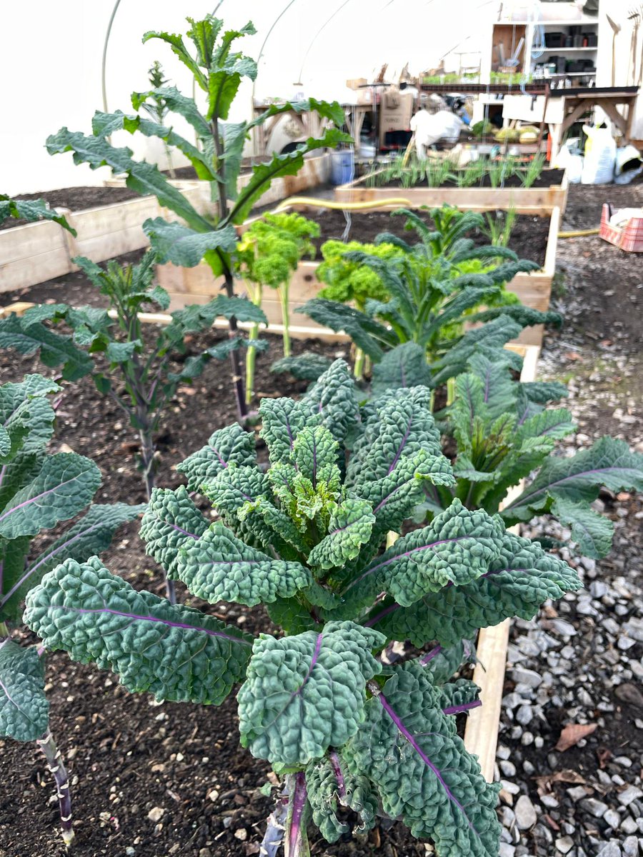 Quickcrop tweet media