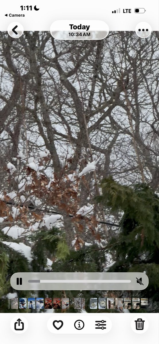 krista pappas ✌ tweet media