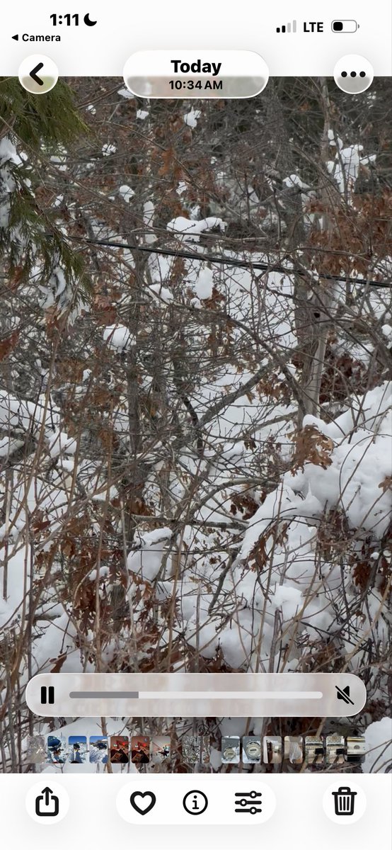 krista pappas ✌ tweet media