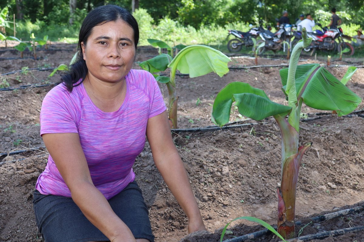 ACDI/VOCA tweet media