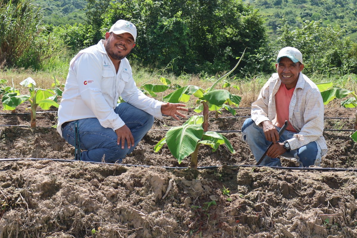 ACDI/VOCA tweet media