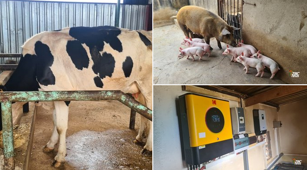 Simangaliso Dube tweet media