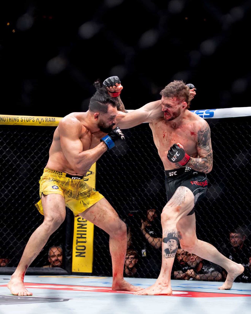 Michel “Demolidor” Pereira tweet media