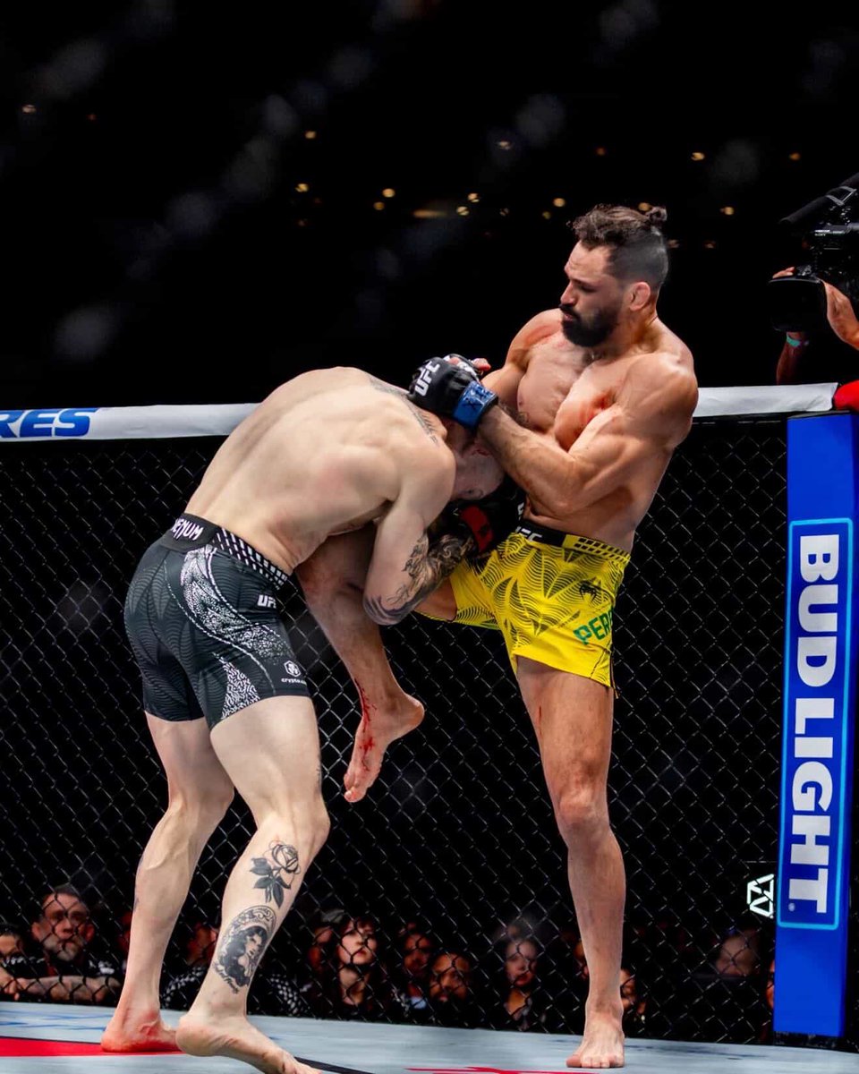 Michel “Demolidor” Pereira tweet media