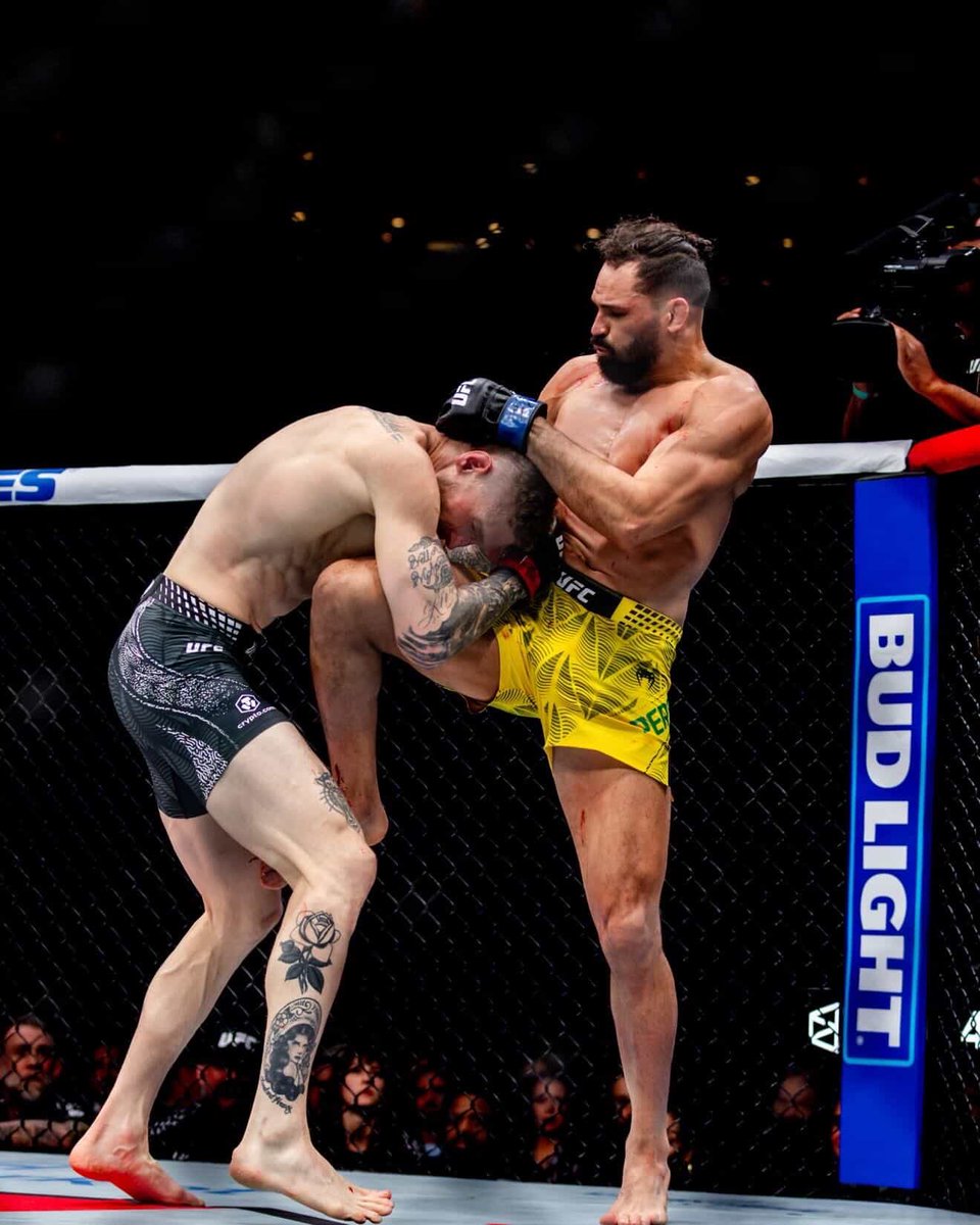 Michel “Demolidor” Pereira tweet media