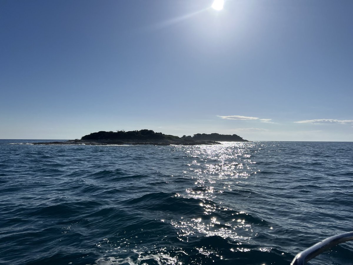 Nordland tweet media