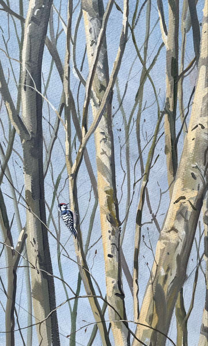 Stephen Message tweet media