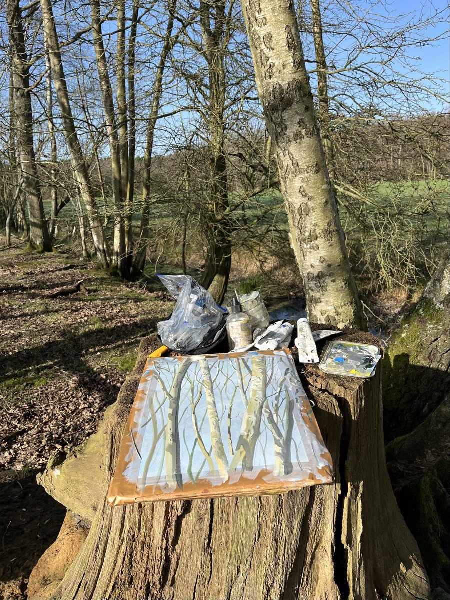 Stephen Message tweet media