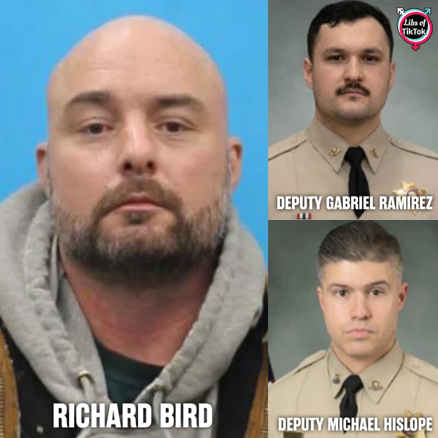 Libs of TikTok tweet media