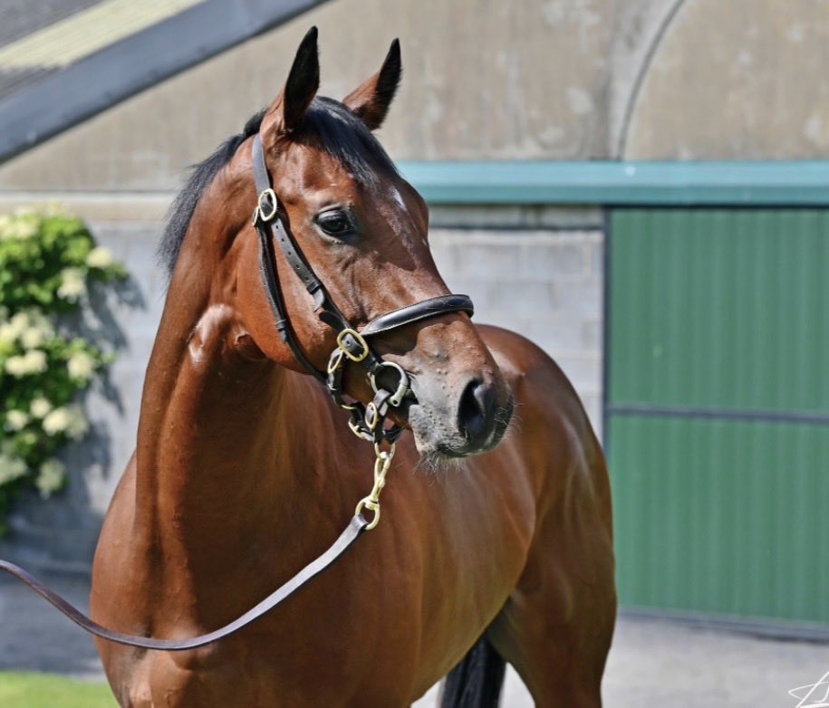 Yvonne Kennedy tweet media