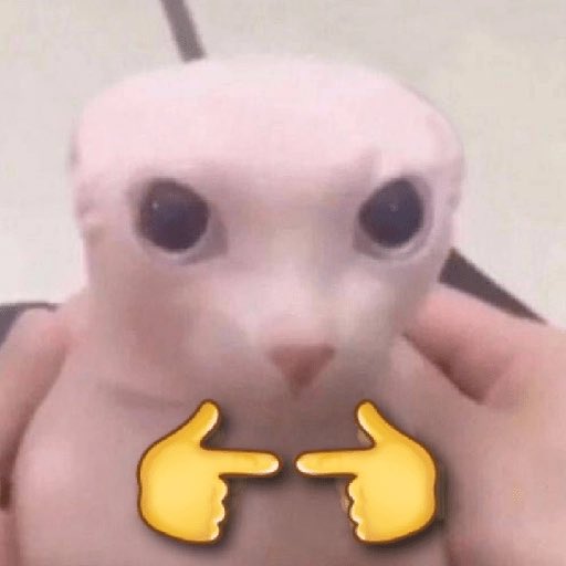 iamansinho's tweet photo. @pewpiece @Mugiwara_23 Thanks pewpew https://t.co/vElAqYyMTw