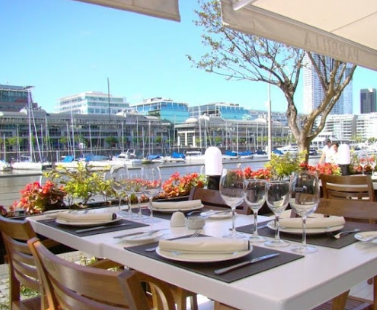 Tomas Diaz Cueto tweet media