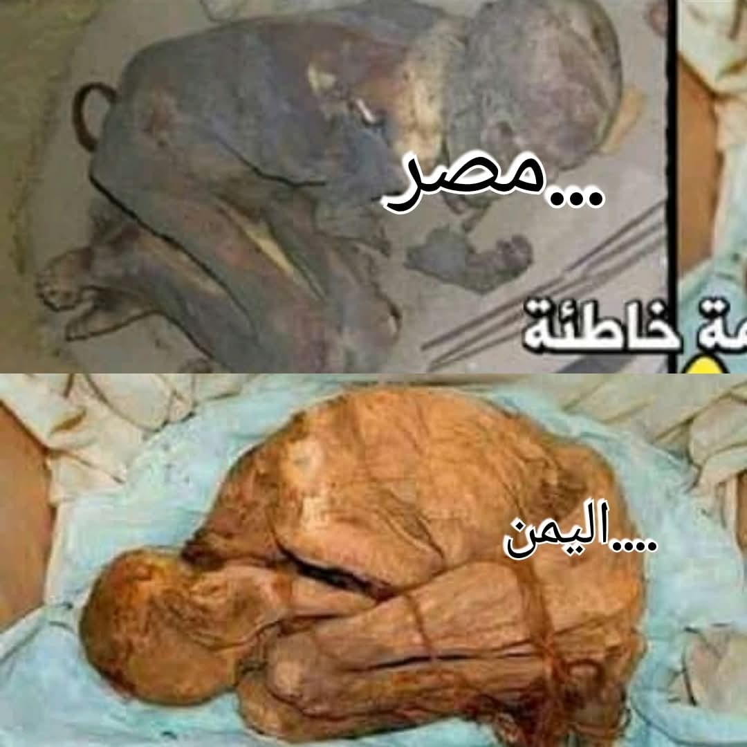Mohamed Zomair tweet media