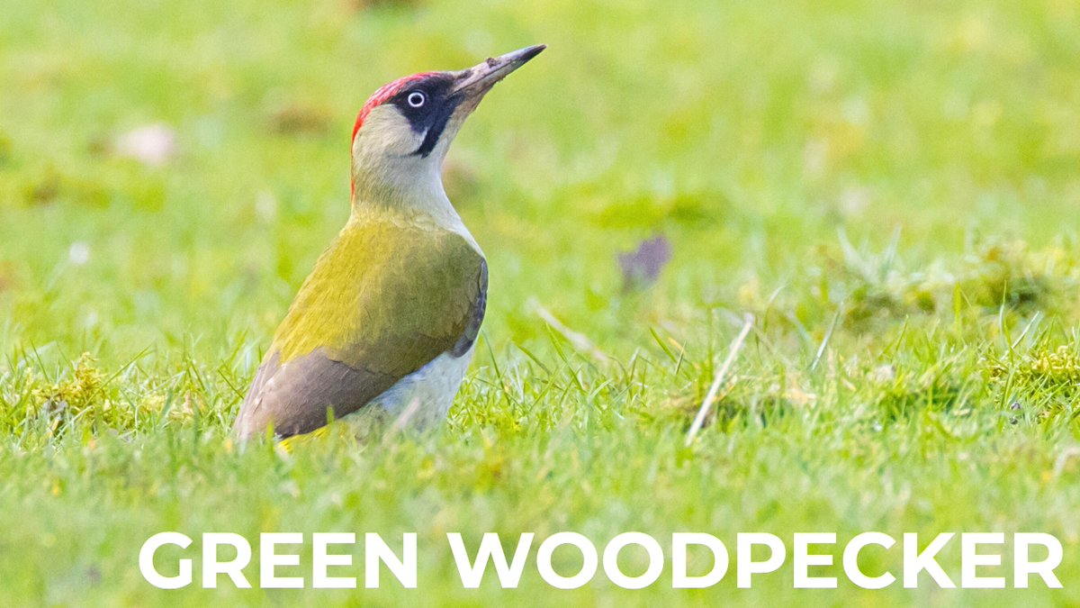 Tam & Lauren tweet media