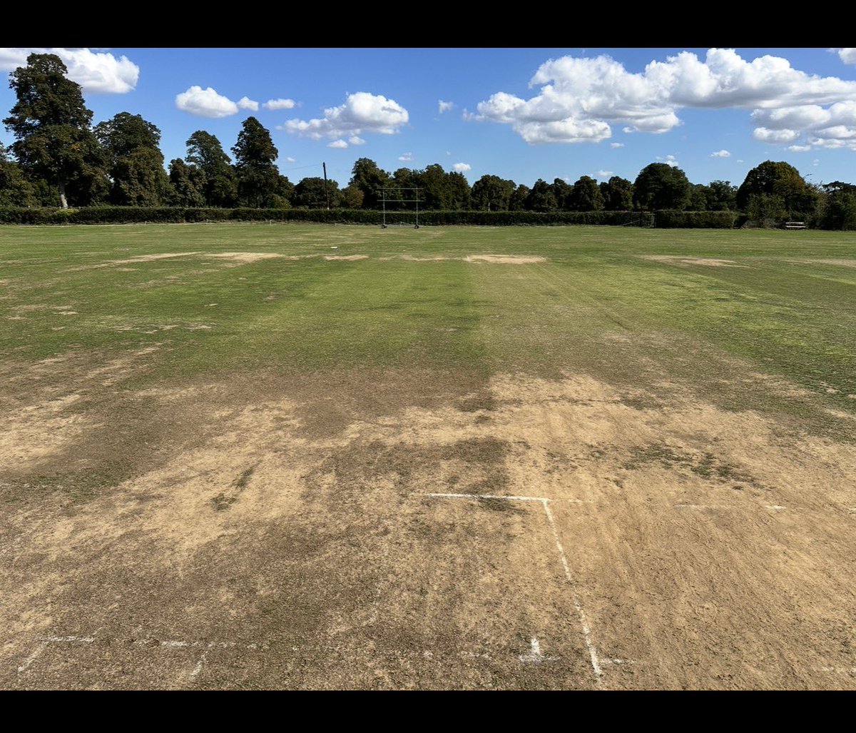 Jon@selwood tweet media