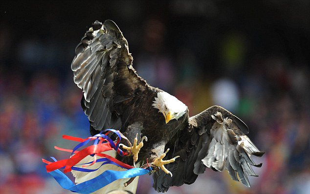 Holmesdale Crava15 🟥🟦🏆🦅 tweet media