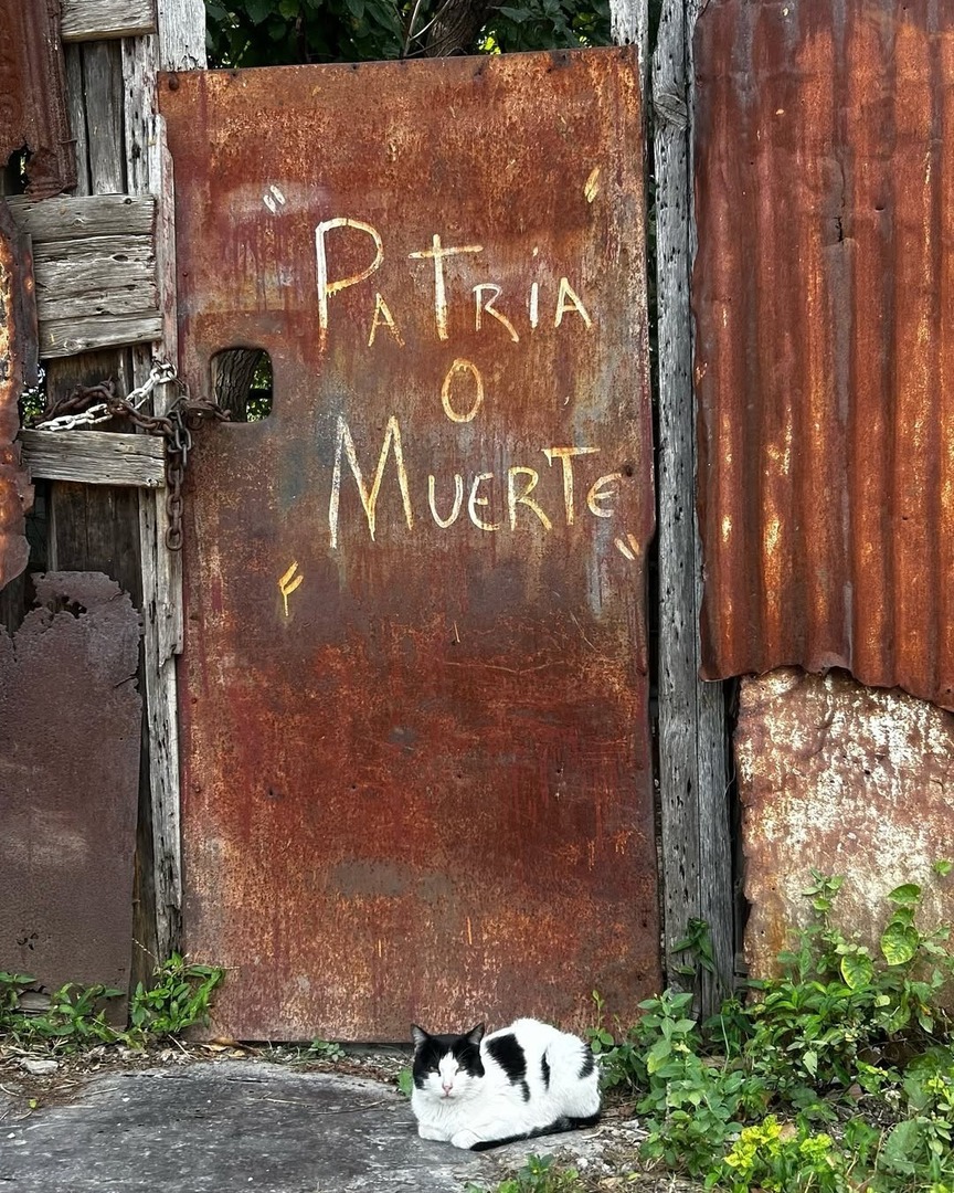 OrinocoTribune's tweet photo. PHOTO OF THE DAY 📸
Credit: @arturmabreu
A rusty metal door in Cuba featuring the political slogan "Patria o Muerte," meaning "Fatherland or Death." Also a black and white cat is resting at the base of the door.
#gato #cat #streetgraffiti #solidari… https://t.co/k05nyCE7iM https://t.co/osajhrBvUU