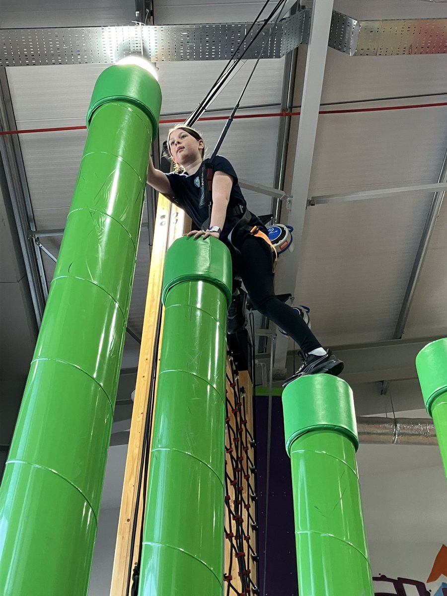 Long Meadow Lions tweet media