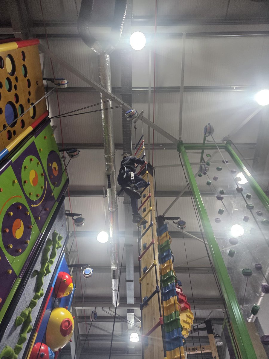 Long Meadow Lions tweet media