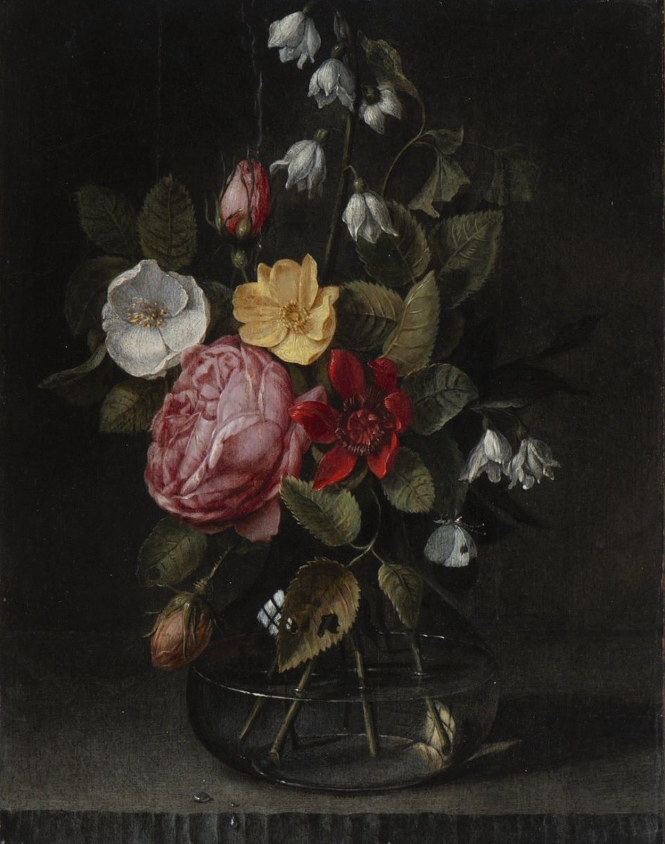 juangonro tweet media